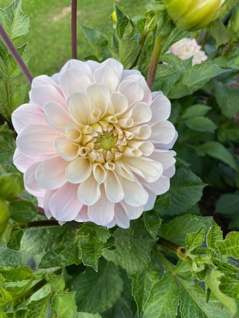 Coaching en reflectie sessie