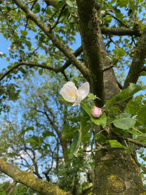 Luisteren naar je lichaam